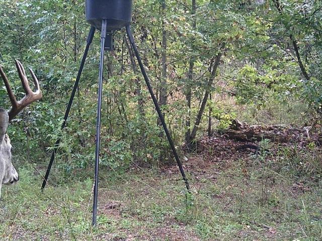 Land for sale in Crawfordville, Georgia