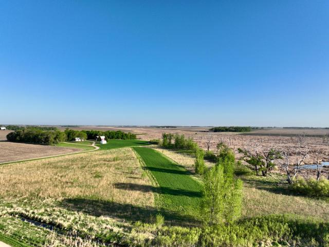 Property for sale in Madison, Minnesota