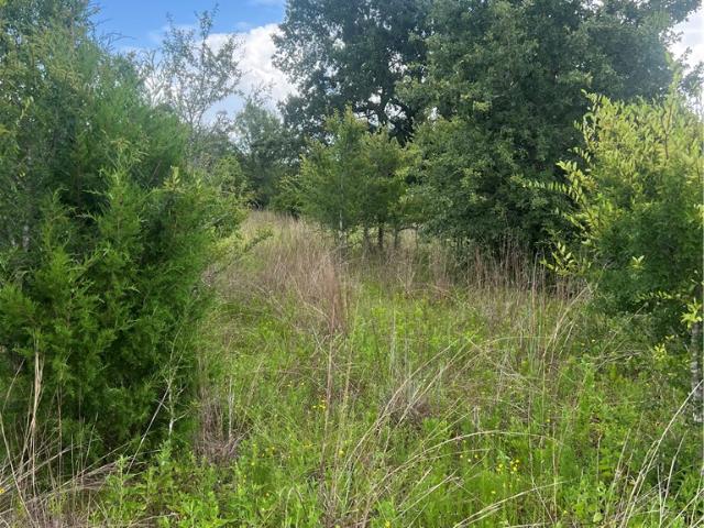 Land for sale in College Station, Texas