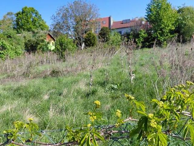 Grundstück kaufen in Korneuburg, Niederösterreich