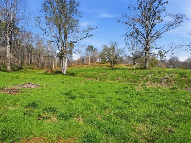 Land for sale in Ball Ground, Cherokee County