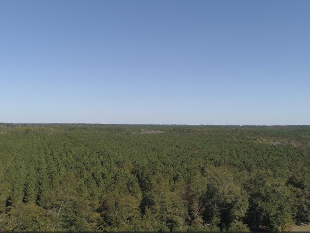 Land for sale in Register, Georgia