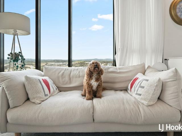 Apartment for rent in Belconnen, District of Belconnen