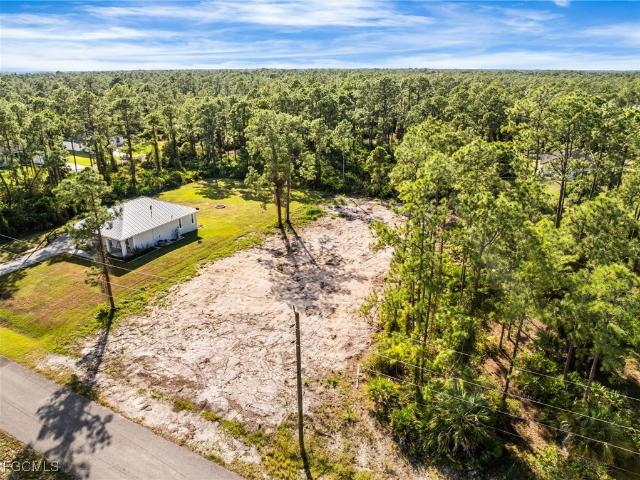 Land for sale in Alva, Florida