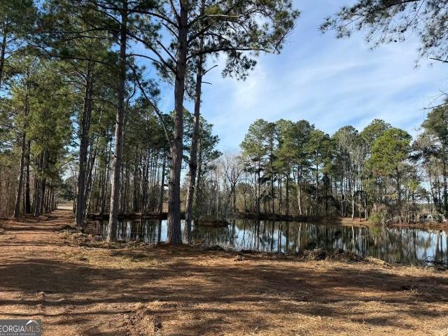 Land for sale in Dodge, Georgia
