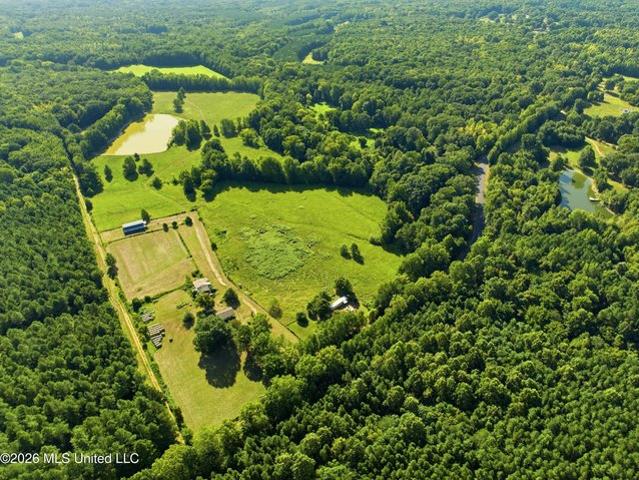 Land for sale in Tate, Mississippi