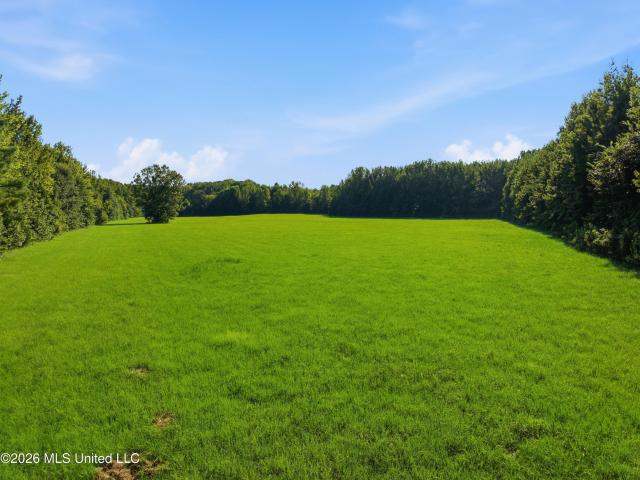 Land for sale in Tate, Mississippi