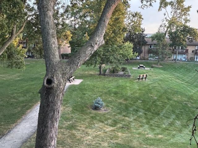 Condo for sale in Arbor Park Condominiums, Downers Grove