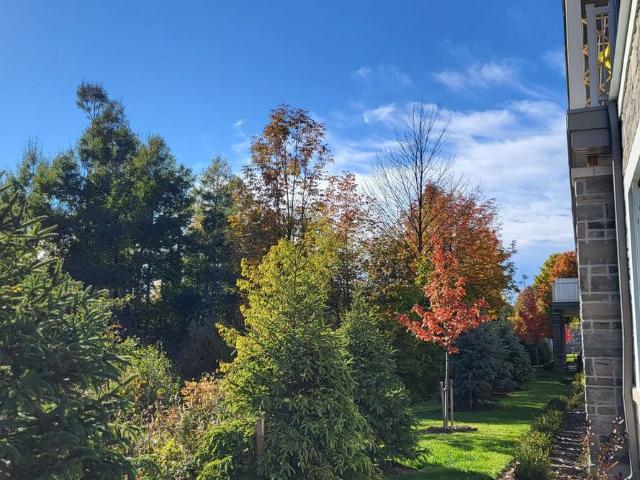 House for rent in Dundalk, Southgate
