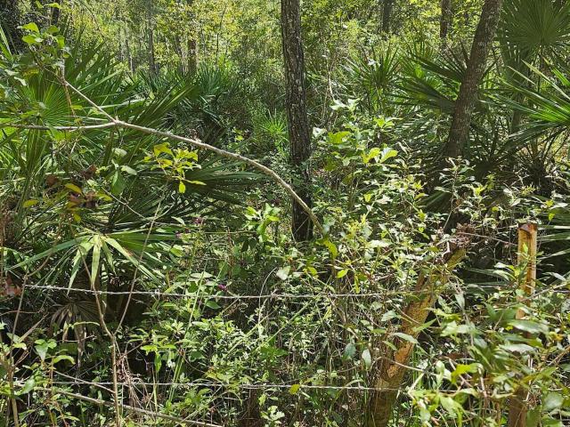 Land for sale in Palatka, Florida
