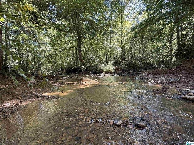Land for sale in Heflin, Cleburne County