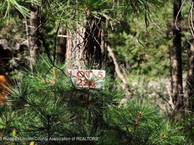 Land for sale in Alto, New Mexico
