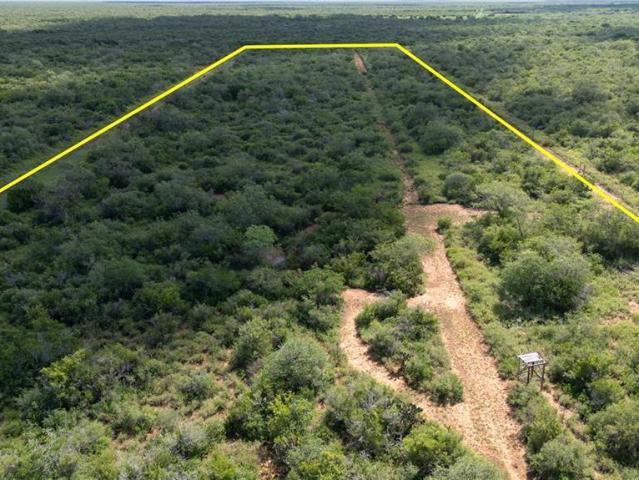 House for sale in Delmita, Texas