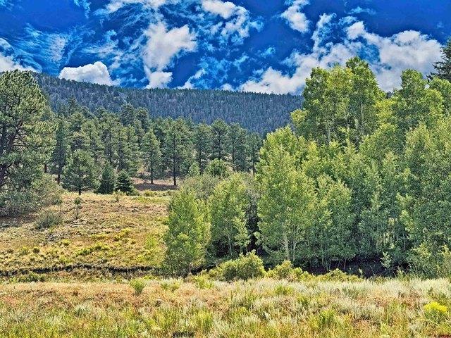 Land for sale in South Fork, Rio Grande County