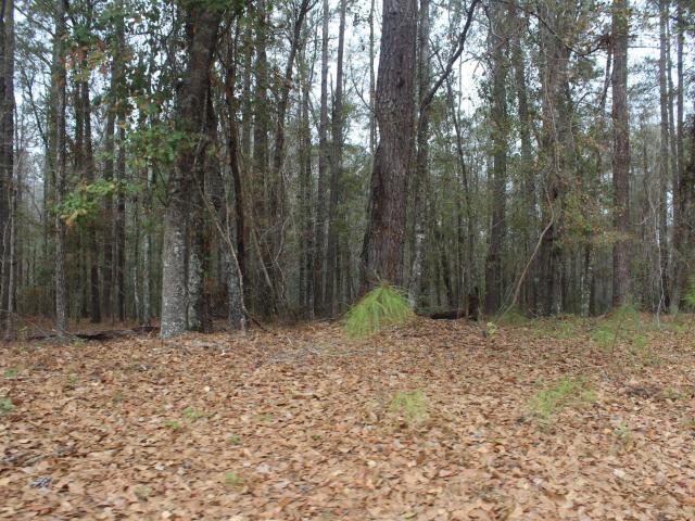 Land for sale in Cope, South Carolina