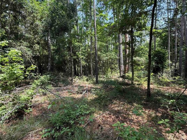 Land for sale in Polk, Texas