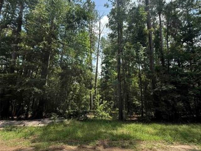 Land for sale in Polk, Texas