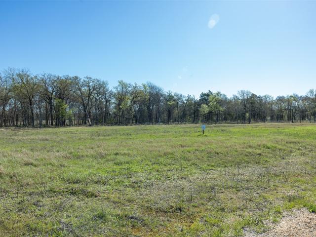 Land for sale in Milam, Texas