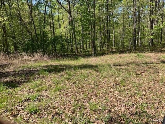 Land for sale in Fredericktown, Missouri