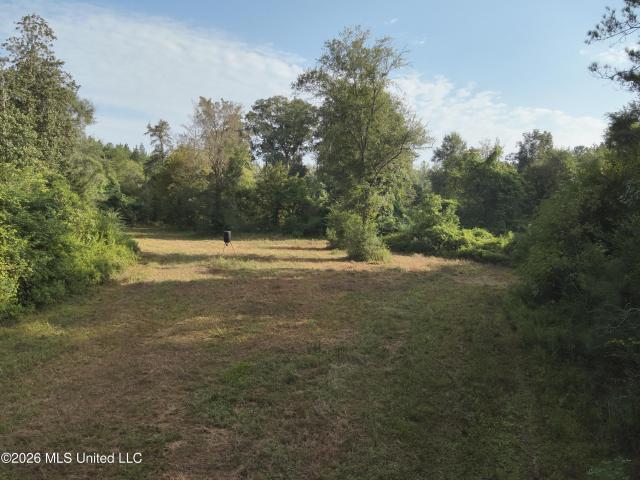 Land for sale in Jefferson Davis County, Mississippi