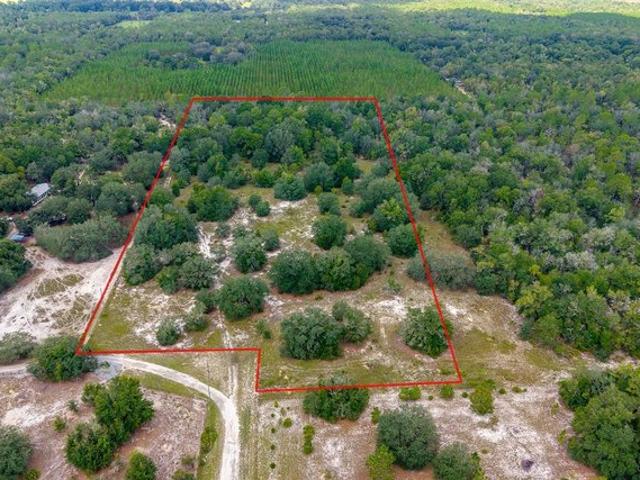 Land for sale in Suwannee, Florida