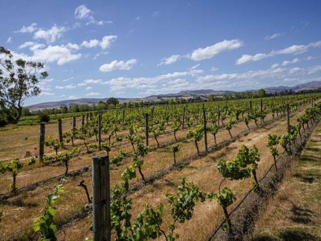 Property for sale in Waipara, Canterbury
