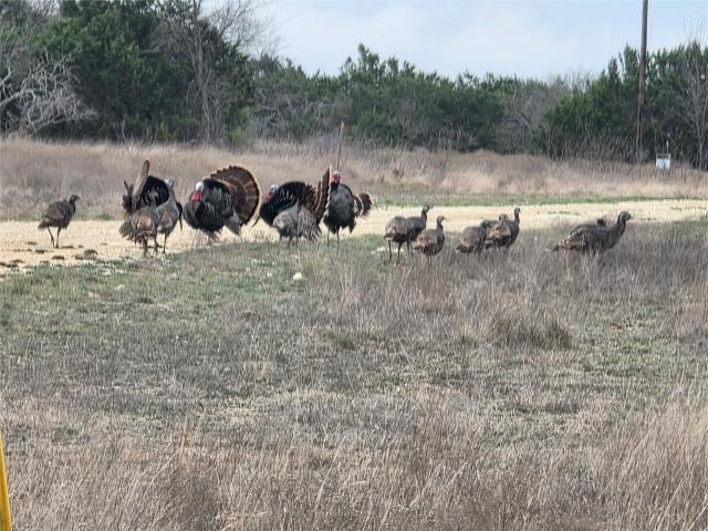 Land for sale in Hamilton, Texas