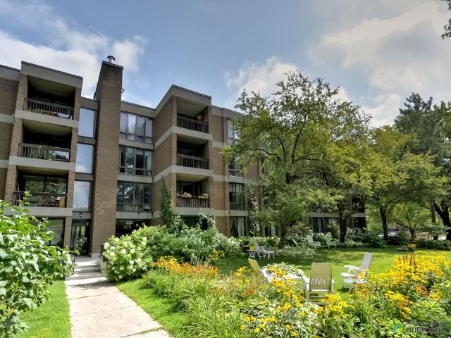Apartment for rent in Verdun, Montréal