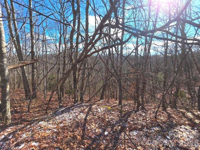 Land for sale in Haywood, North Carolina