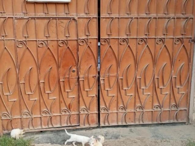 House for rent in North Waziristan, Federally Administered Tribal Areas fata