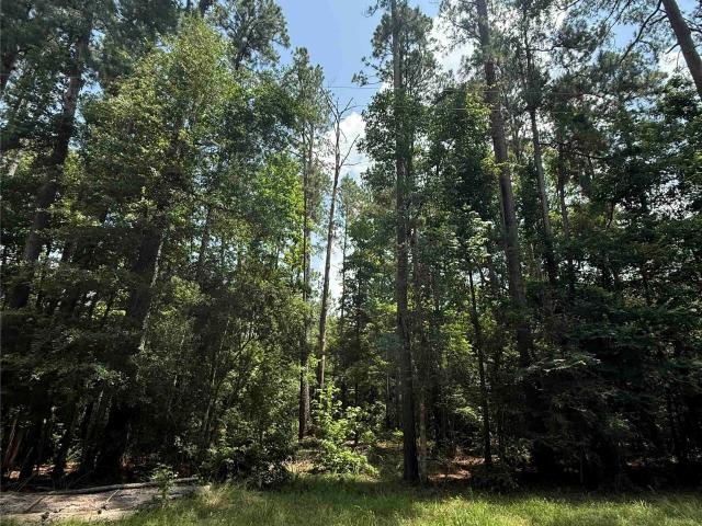 Land for sale in Polk, Texas