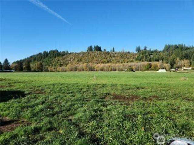 Land for sale in Mossyrock, Washington