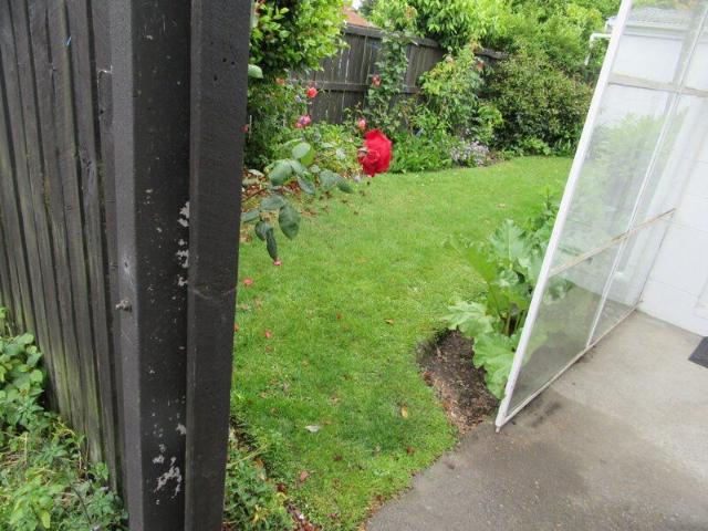Room for rent in Christchurch