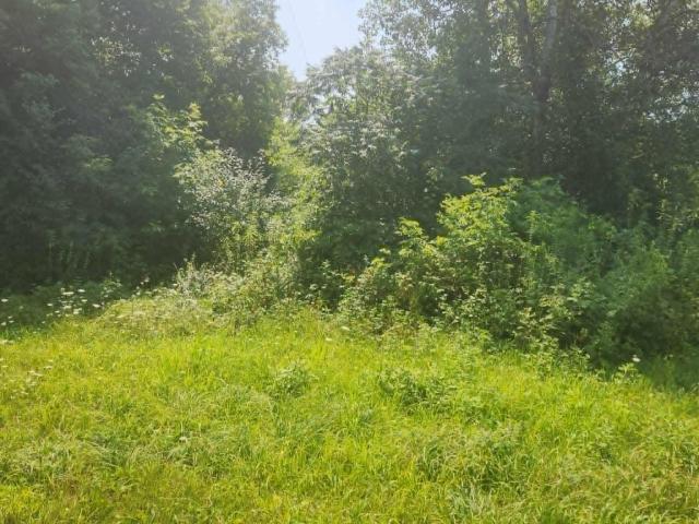 Land for sale in Saint Croix, Wisconsin