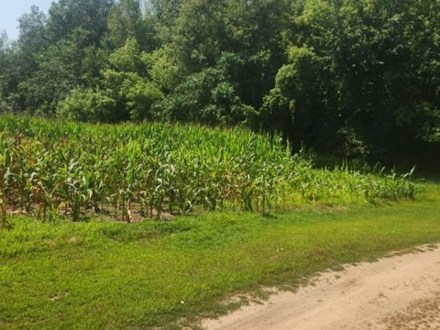 Land for sale in Saint Croix, Wisconsin