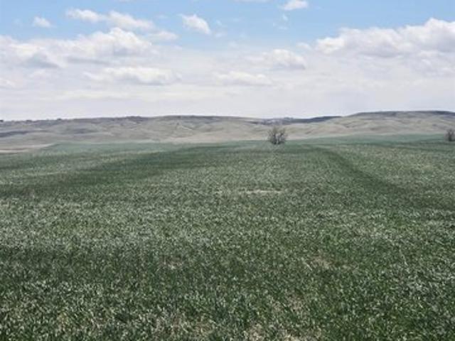 Land for sale in Rapid City, South Dakota