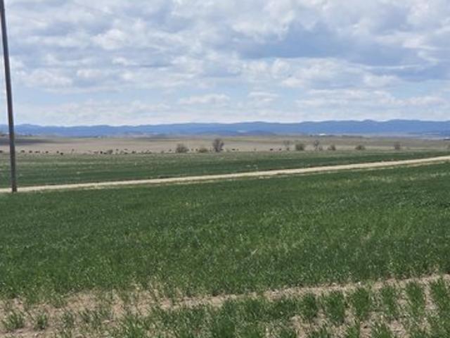 Land for sale in Box Elder, Pennington County
