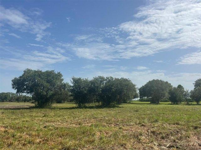 Land for sale in Clewiston, Hendry County