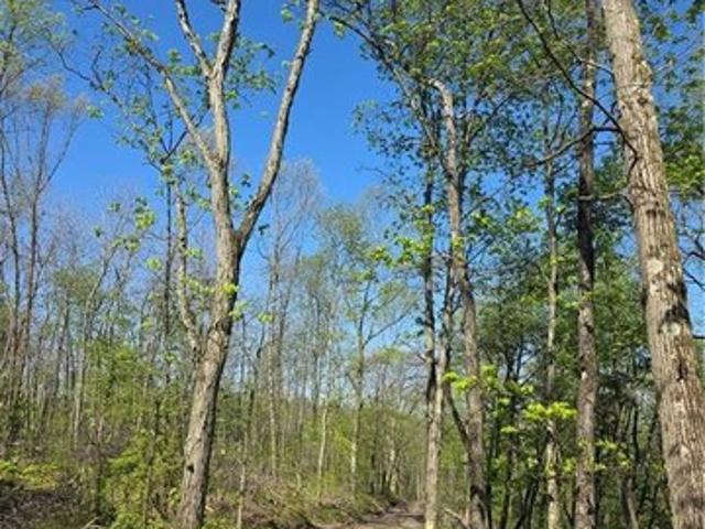 Land for sale in Shelocta, Pennsylvania