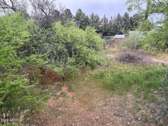 Land for sale in Arizona