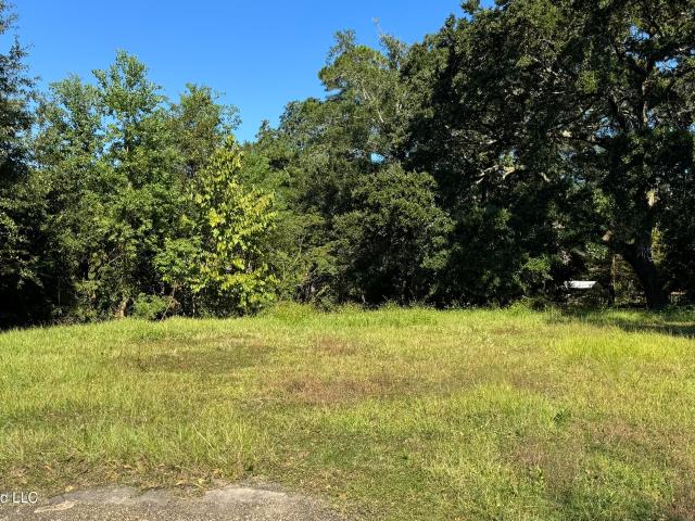 Land for sale in Gautier, Jackson County