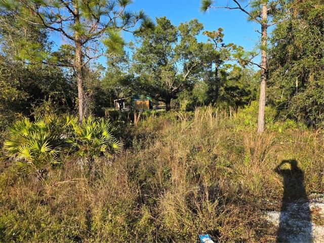 Land for sale in Port Charlotte, Florida