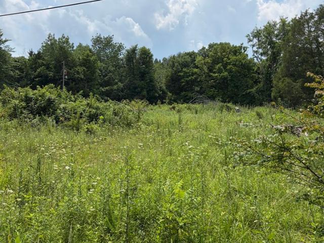 Land for sale in Kentucky