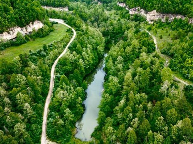 Land for sale in Louisa, Kentucky
