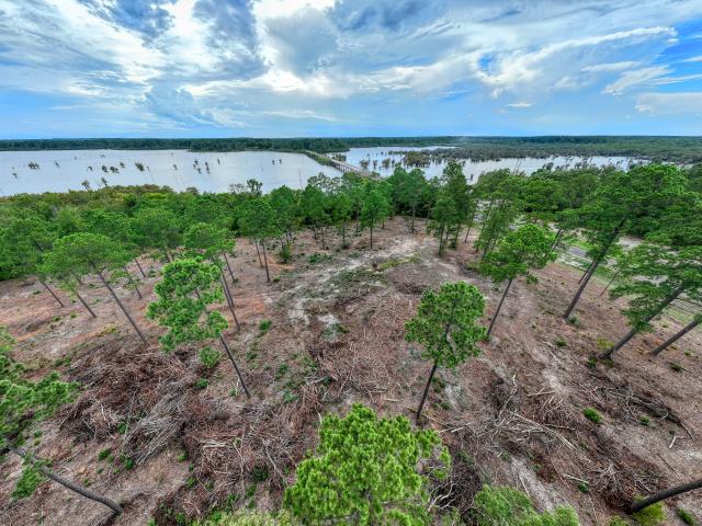 Land for sale in Pineland, Texas