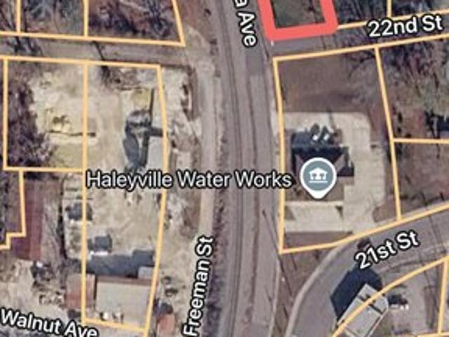 Land for sale in Haleyville, Alabama