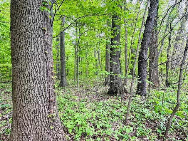 Land for sale in Madison, Ohio