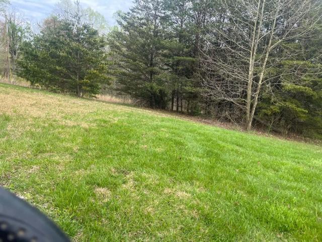 Land for sale in Irvine, Kentucky