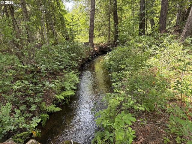 House for sale in Trout Lake, Washington