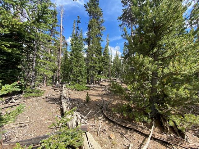 Land for sale in Fairplay, Colorado